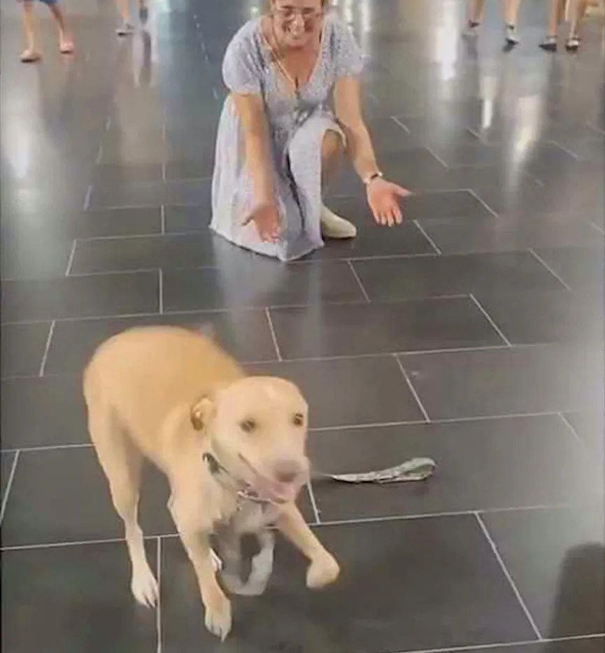 Dog Couldn’t Stop Dancing When Seeing His Grandparents And It Was Moment Of Pure Joy 4