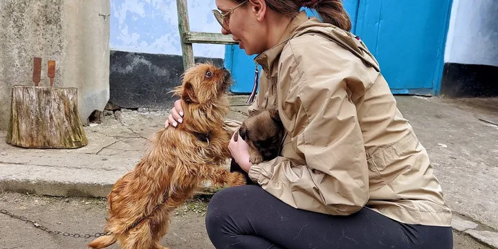 Dog On Chain Begs Rescuers Not To Take Away Her Little Puppy 1