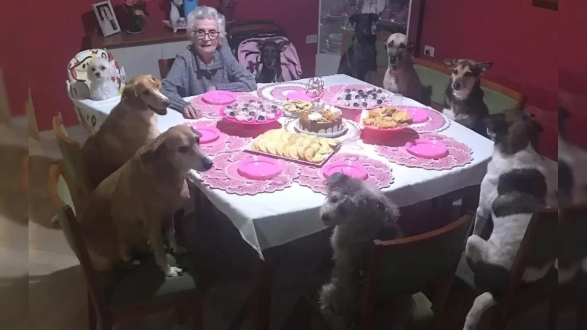Oma Viert Haar 89e Verjaardag Met Tien Honden 1