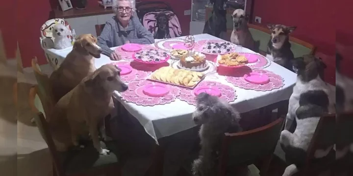 Oma Viert Haar 89e Verjaardag Met Tien Honden 1