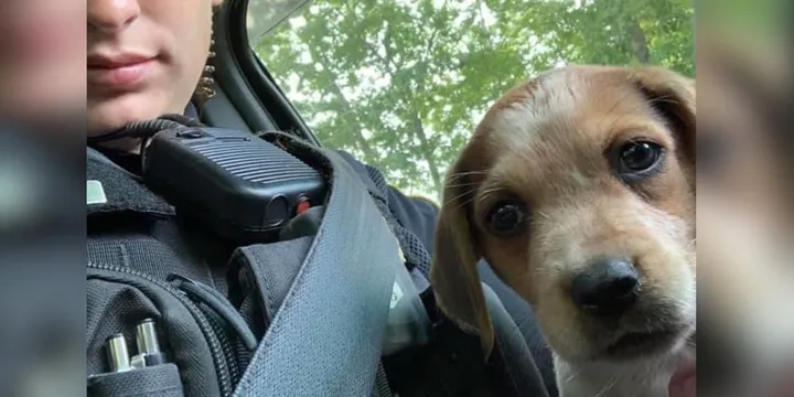 Politieagente adopteert achtergelaten puppy nadat ze haar leven had gered 1