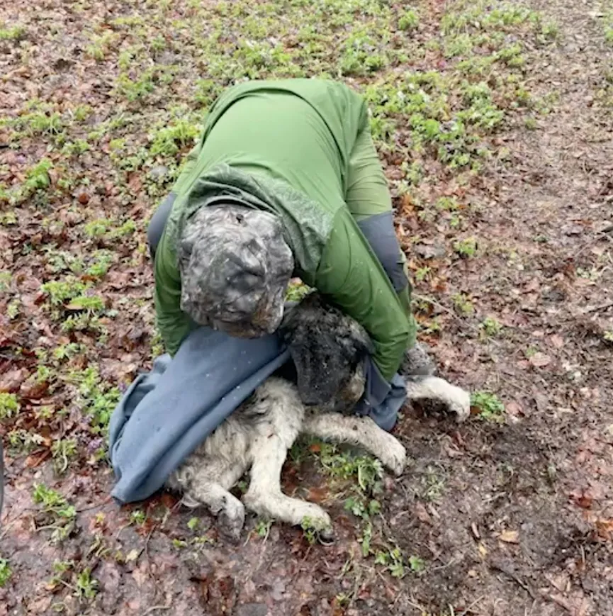 Rescuers discover dog on frozen ground moments before it's too late 3