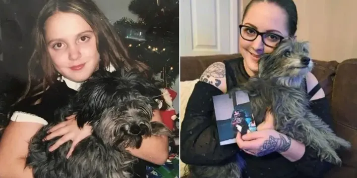 Vrouw adopteert oude hond uit asiel en ontdekt dat het haar jeugdvriendje is 1