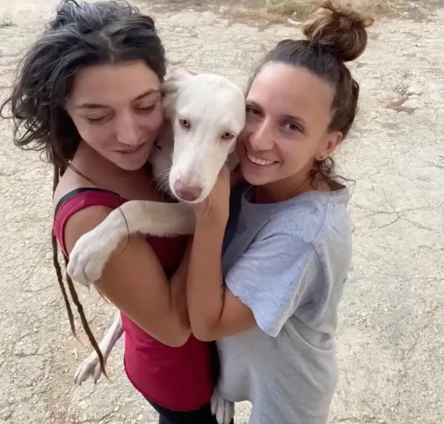 Woman finds defenseless newborn puppy abandoned on road 7