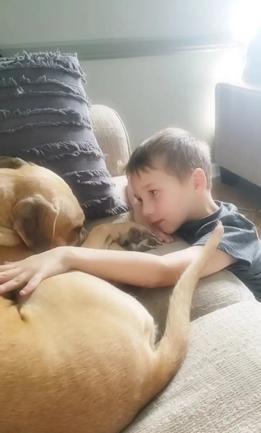 7-jarige jongen adopteert getraumatiseerde hond en stelt hem gerust- "We houden zoveel van je" 5