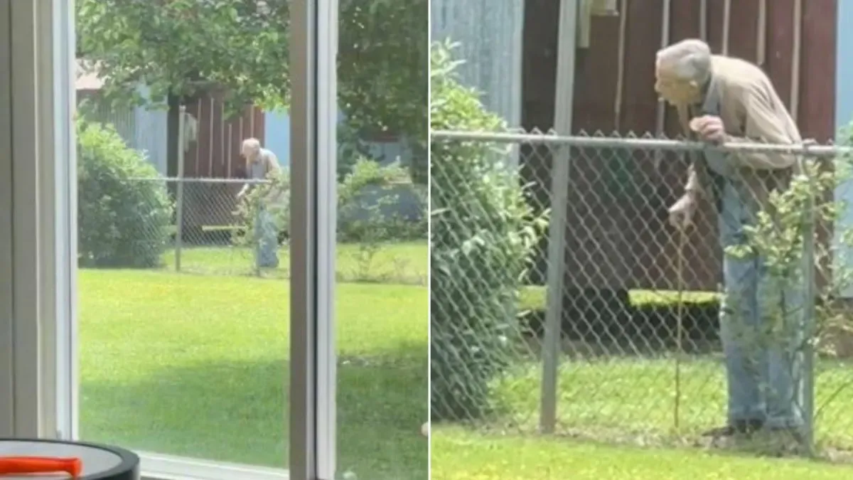 94-jarige opa heeft de liefste routine met de honden van zijn buren 1
