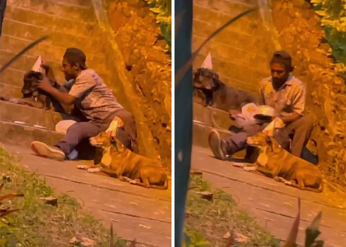Dakloze jongen viert verjaardag van honden en gaat viral 2