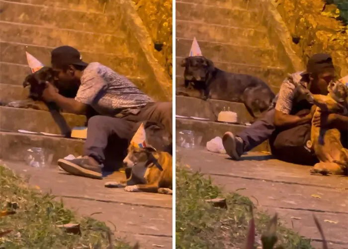 Dakloze jongen viert verjaardag van honden en gaat viral 6
