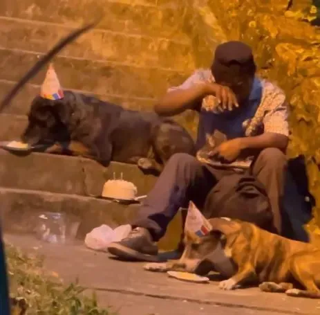 Dakloze jongen viert verjaardag van honden en gaat viral 11