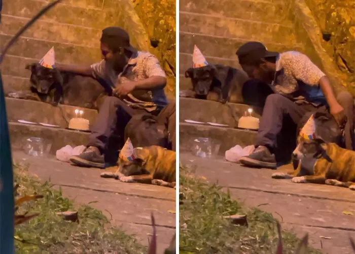 Dakloze jongen viert verjaardag van honden en gaat viral 5