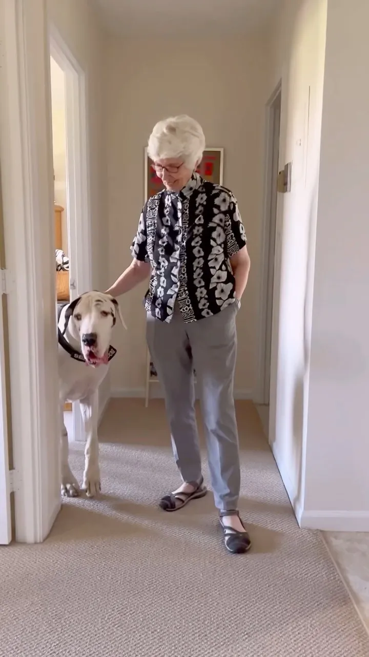 Duitse Dog adopteert oma nadat haar man is overleden 6