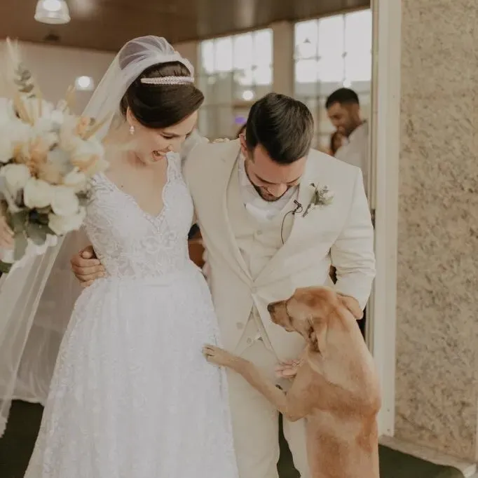 Gewonde zwerfhond crasht huwelijksceremonie en wordt geadopteerd door pasgetrouwden 4