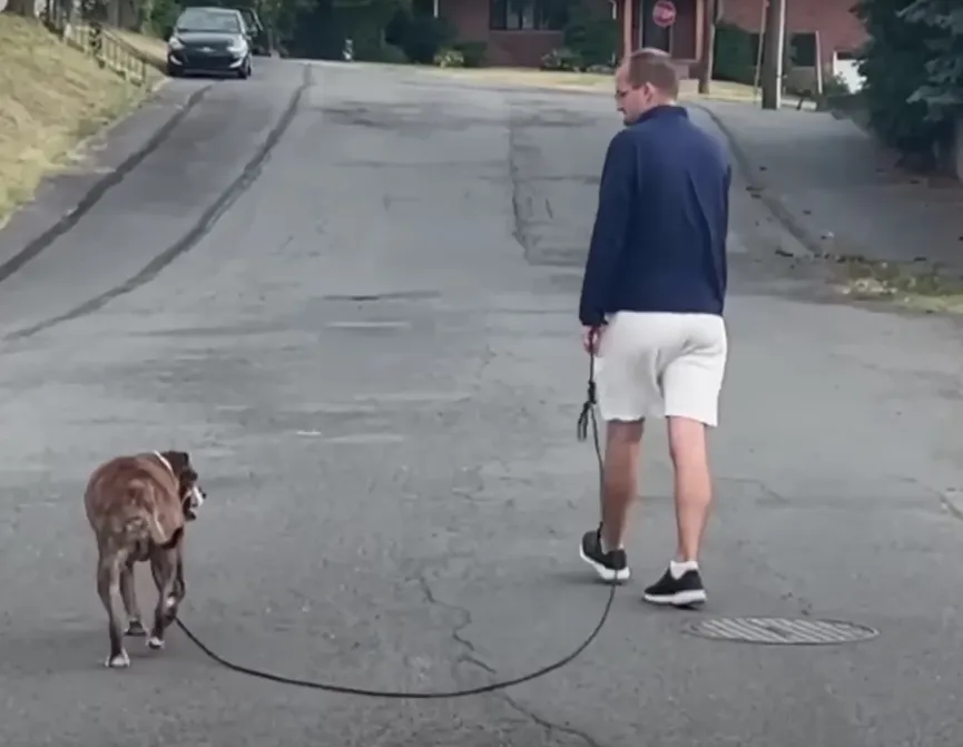 Hele buurt komt opdagen voor laatste wandeling van hond met terminale kanker 4