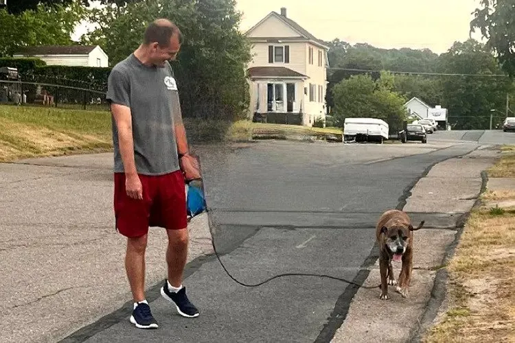 Hele buurt komt opdagen voor laatste wandeling van hond met terminale kanker 3