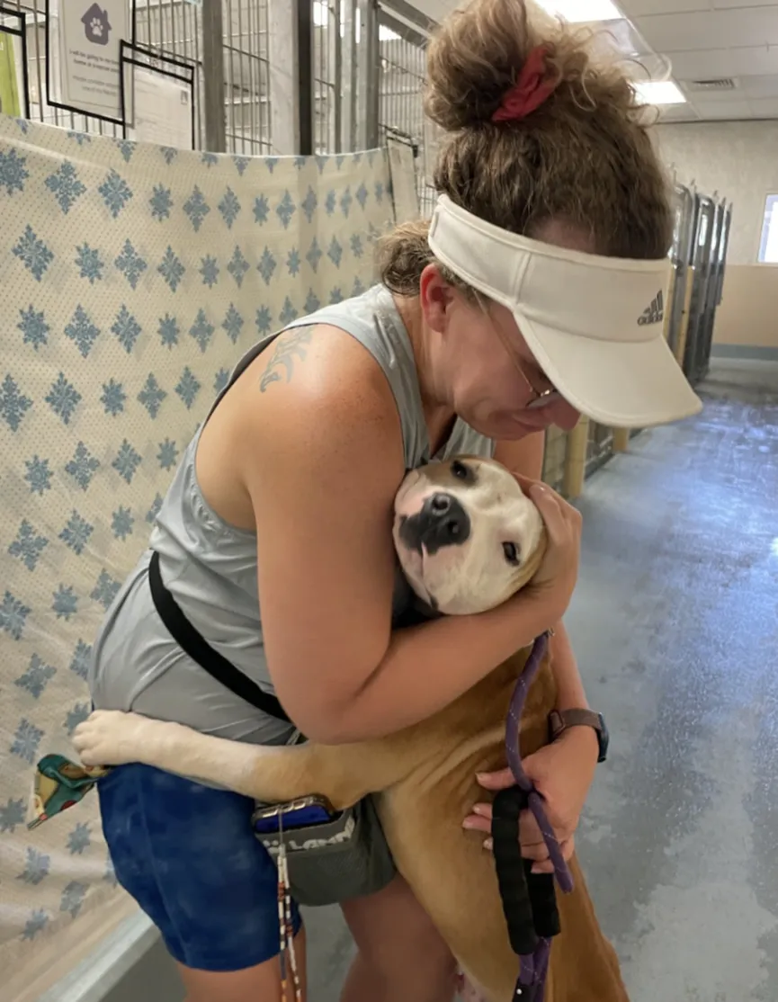 Hond uit asiel knuffelt iedereen die hij tegenkomt, in de hoop dat ze hem adopteren 3