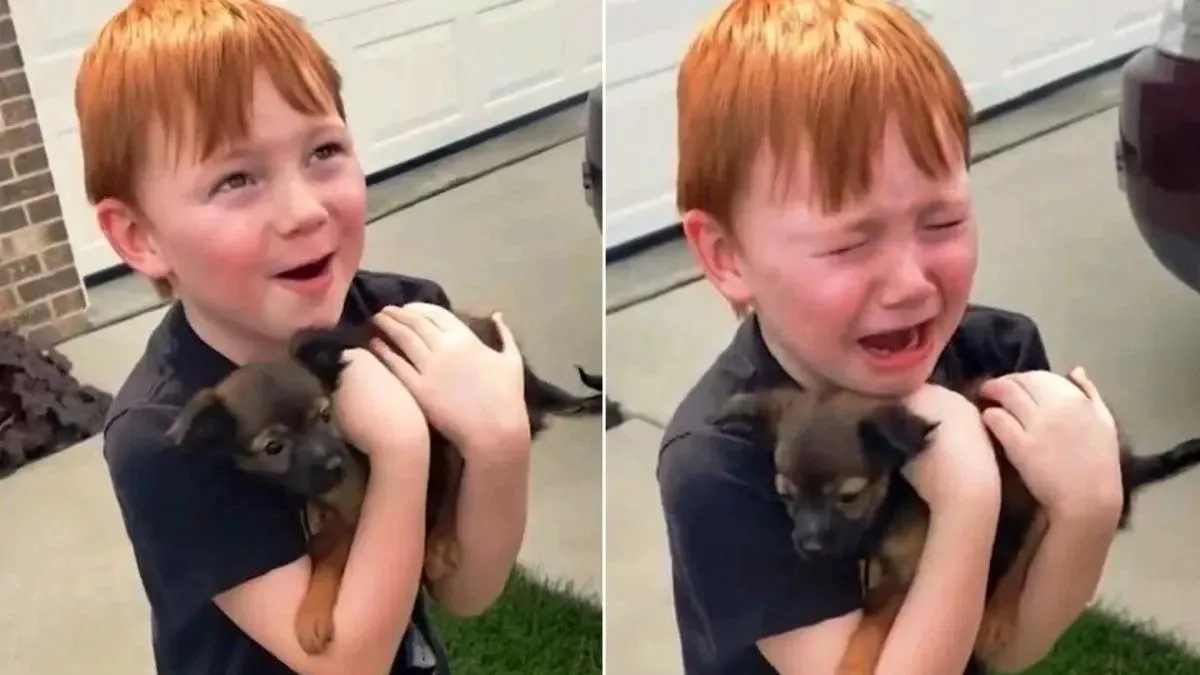 Jongen spaarde heel lang voor een puppy maar zijn oma besloot hem te verrassen 1