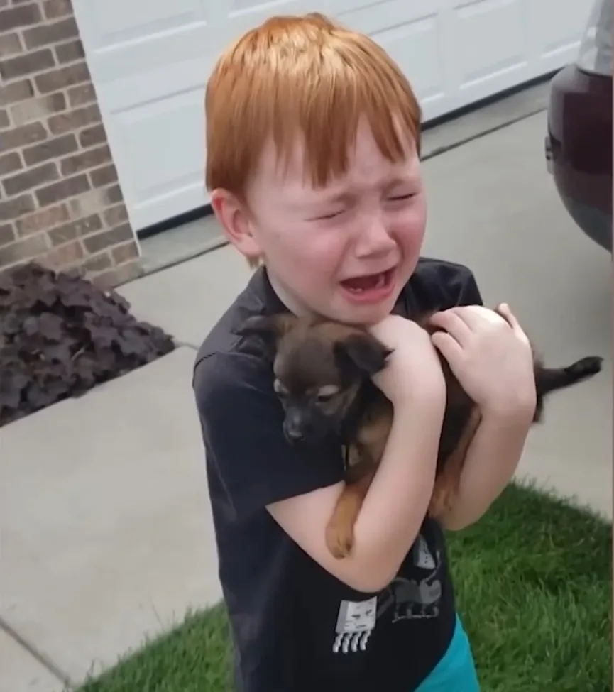 Jongen spaarde heel lang voor een puppy maar zijn oma besloot hem te verrassen 3