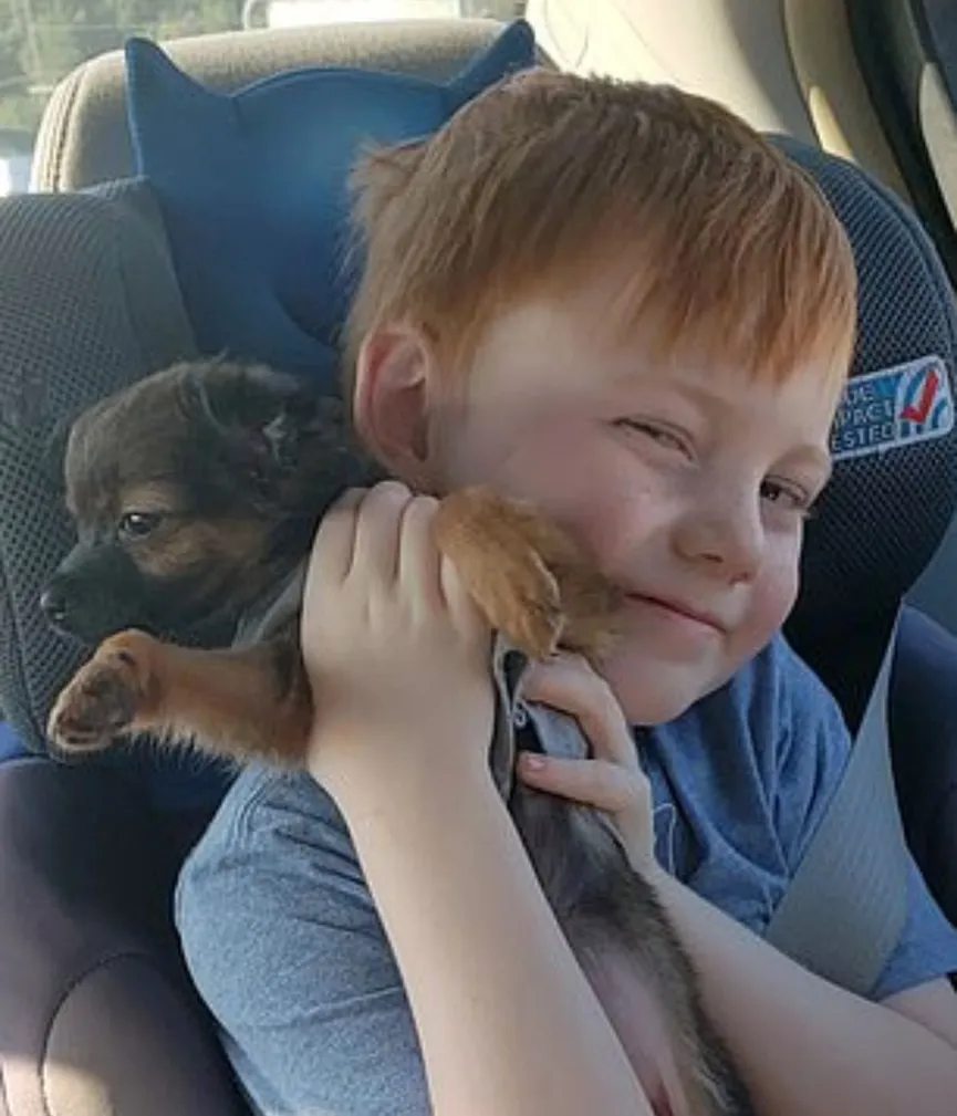 Jongen spaarde heel lang voor een puppy maar zijn oma besloot hem te verrassen 4