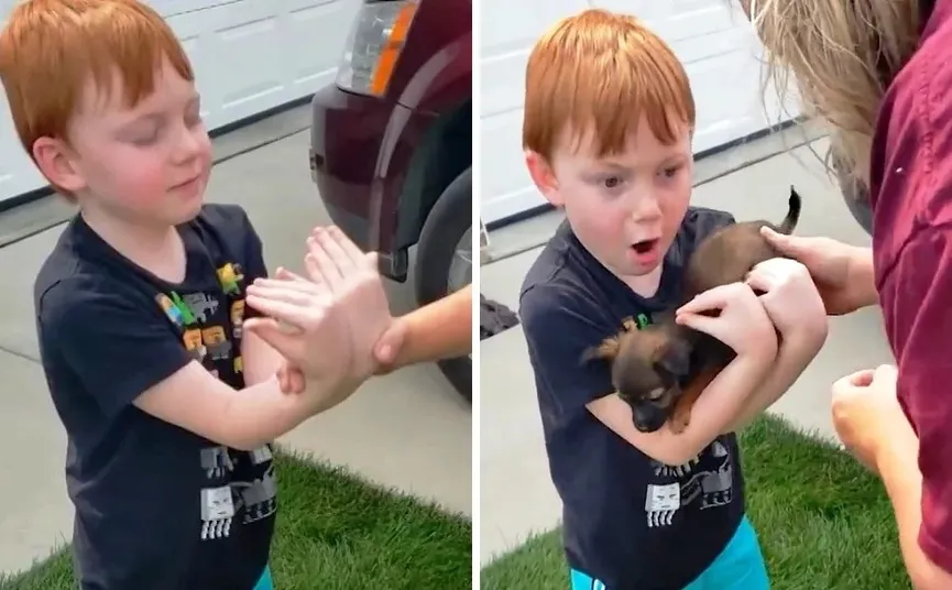 Jongen spaarde heel lang voor een puppy maar zijn oma besloot hem te verrassen 2