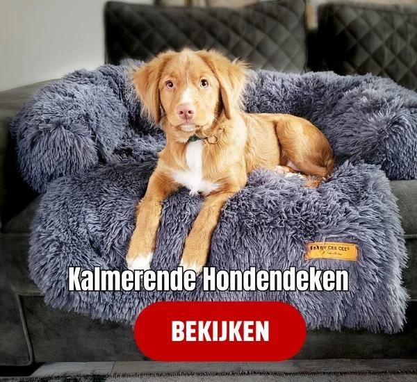Origineel Hondendeken voor Bank