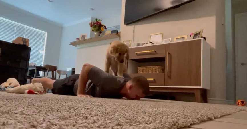 Man tries to do push-ups in the living room - his dog's reaction is so much fun 4