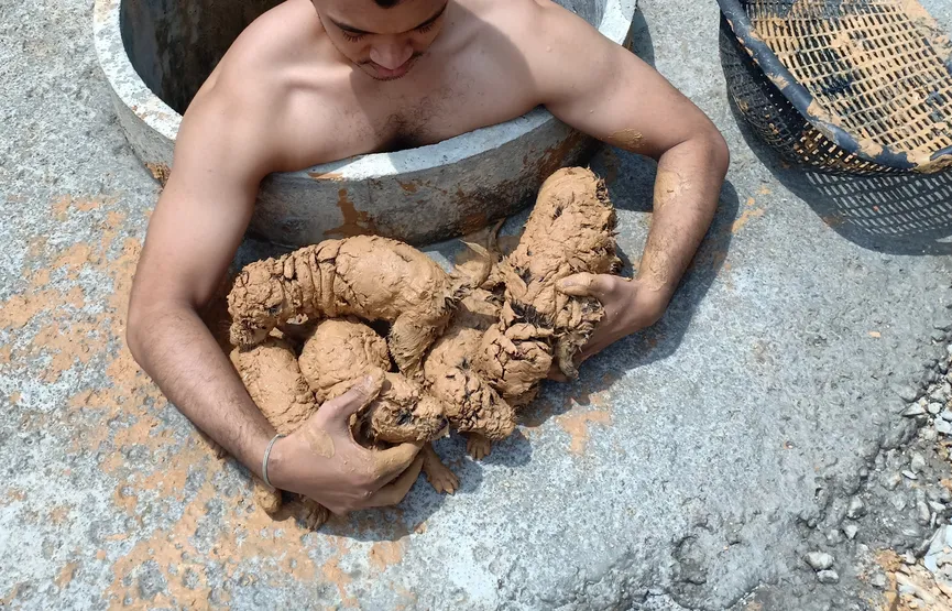 Man vindt 5 modderballen in een put en komt erachter dat het schattige puppy's zijn 3