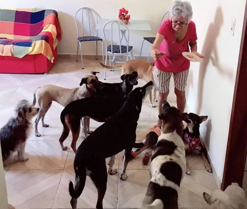 Oma Viert Haar 89e Verjaardag Met Tien Honden 3