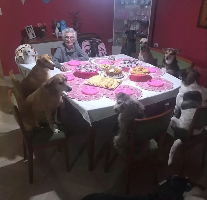 Oma Viert Haar 89e Verjaardag Met Tien Honden 4