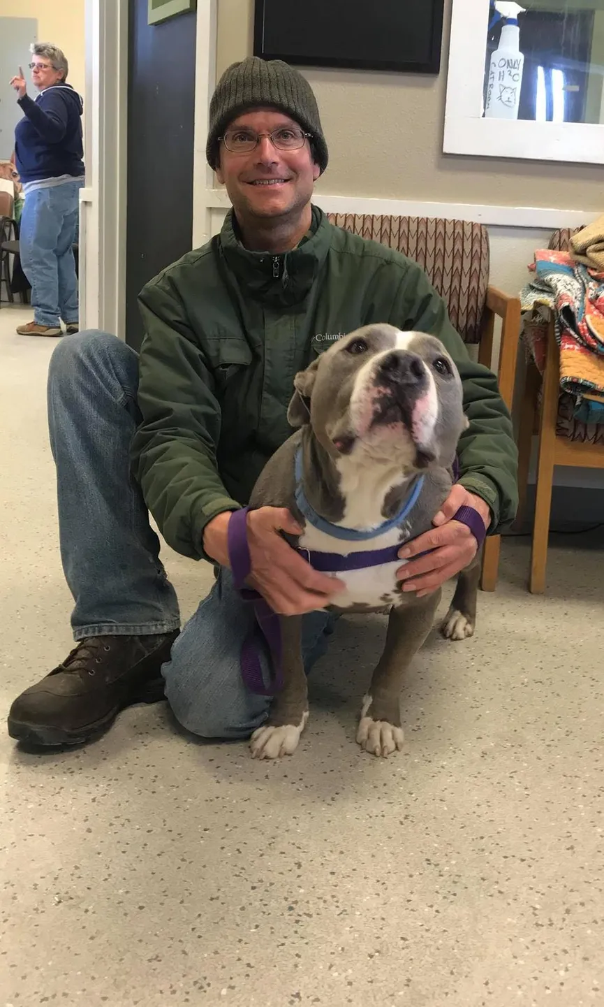 Pitbull wordt geadopteerd door zijn favoriete vrijwilliger en is de gelukkigste hond ooit 3