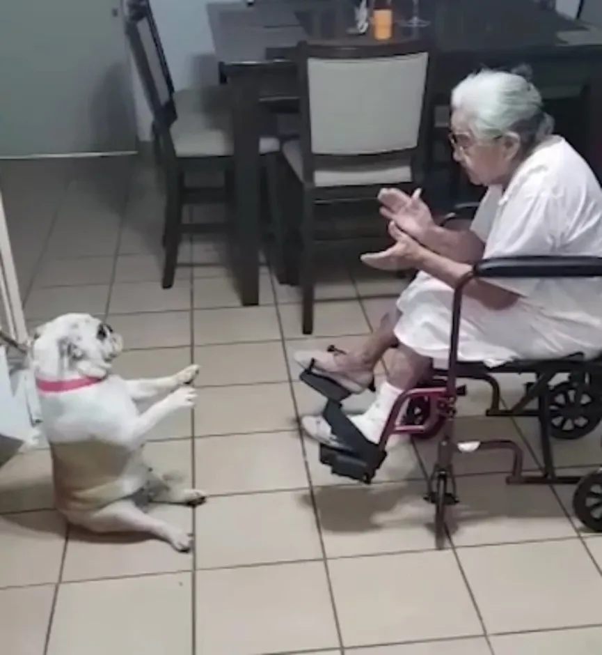 Pup danst vrolijk op het Spaanse liedje van oma 2