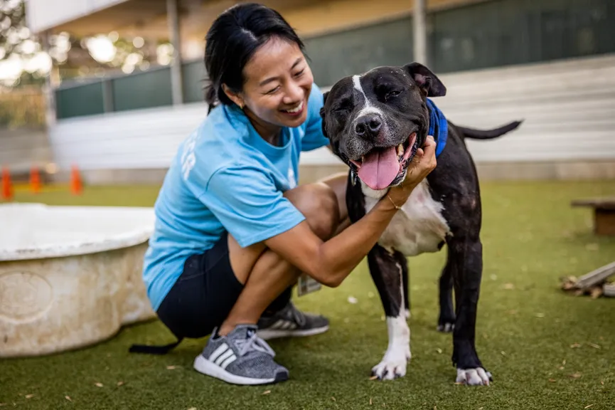 Shelter dog waited 500 days to be adopted, but was returned after a week 6