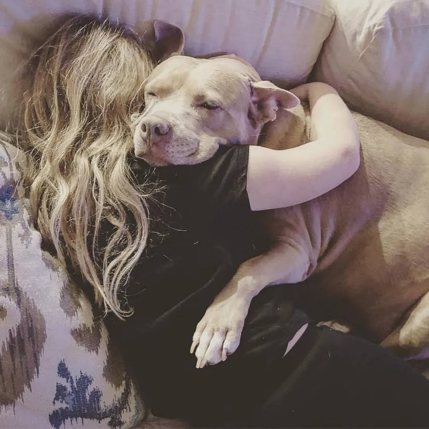 Verdrietige Pitbull mama zonder haar pups in asiel gedumpt kan niet stoppen met huilen 5