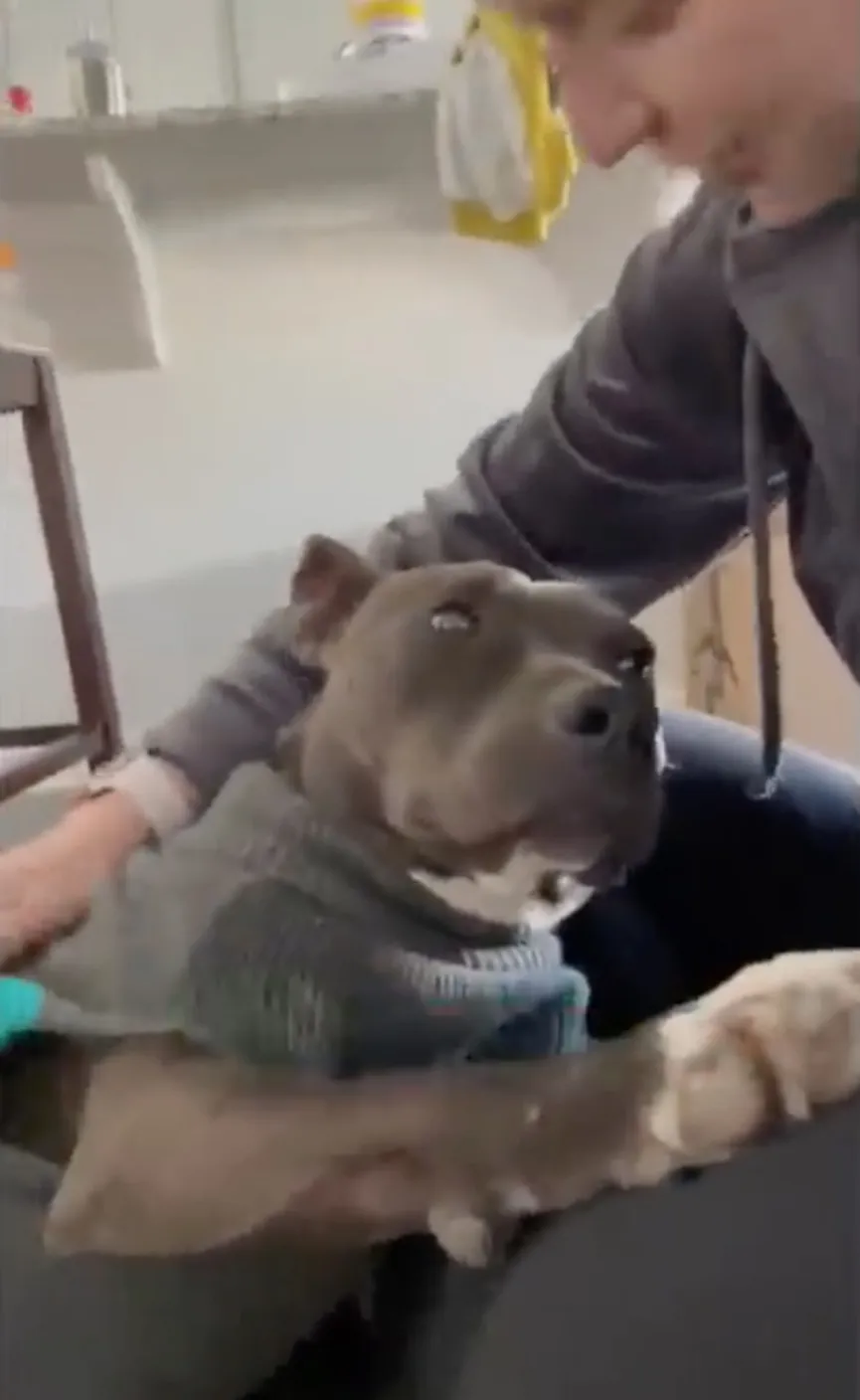 Woman gives black pit bull no one wanted a new home 3