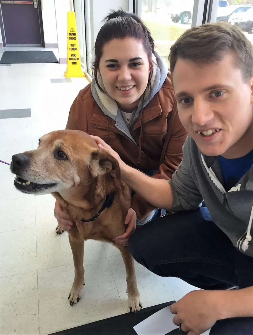 Zieke 17-jarige hond blijft net lang genoeg in leven om zijn babyzusje te ontmoeten 2