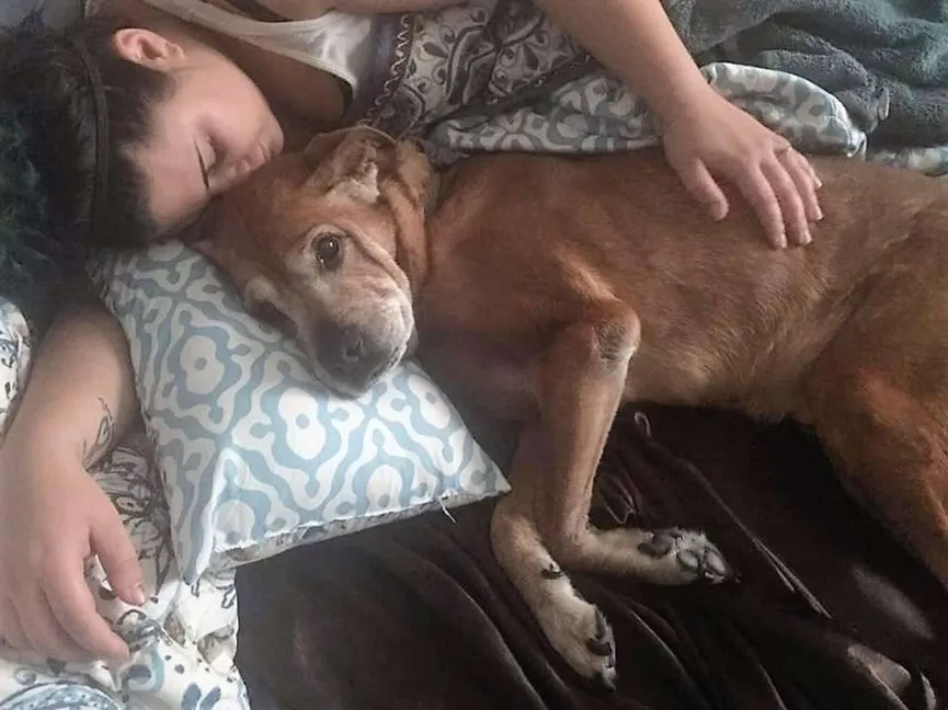 Zieke 17-jarige hond blijft net lang genoeg in leven om zijn babyzusje te ontmoeten 7