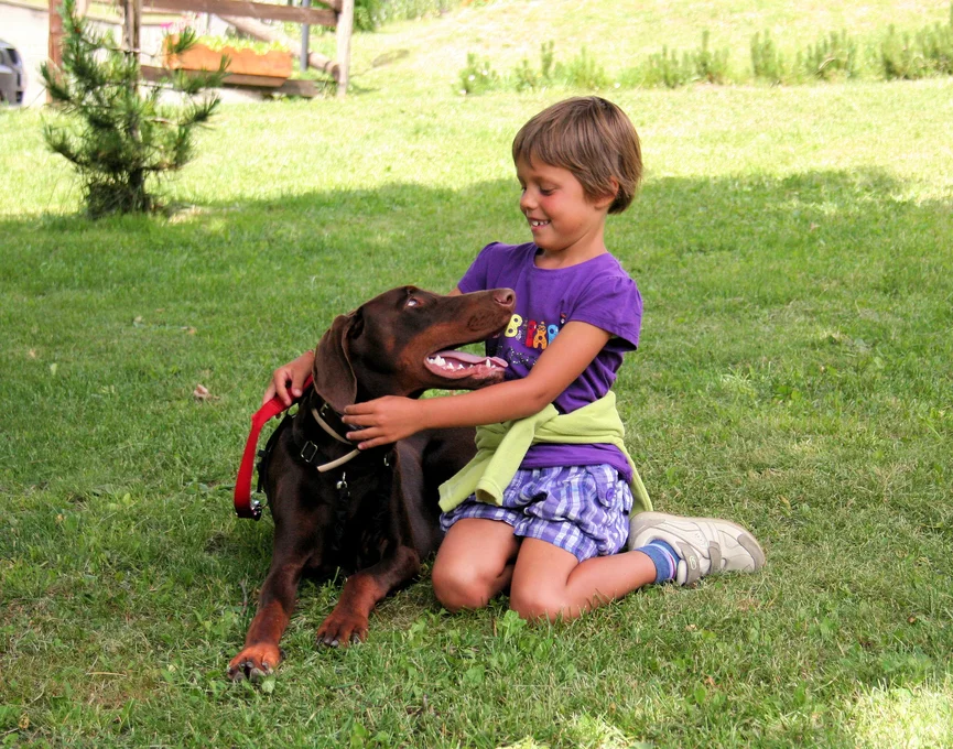 dobermann-met-kind