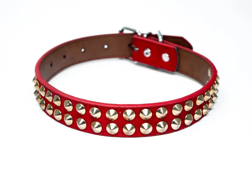 dog-collar