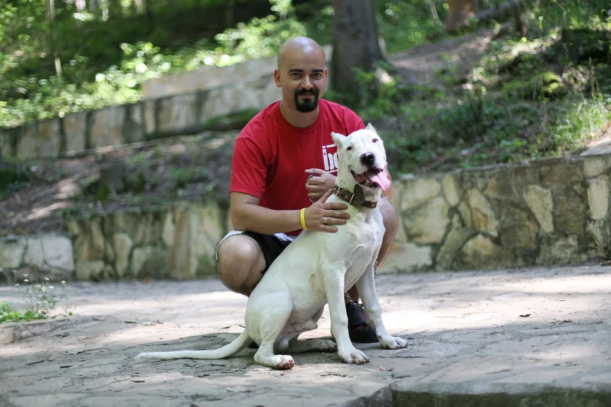 dogo-argentino-ras